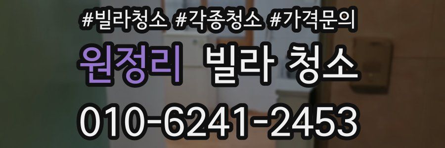 원정리 빌라 청소