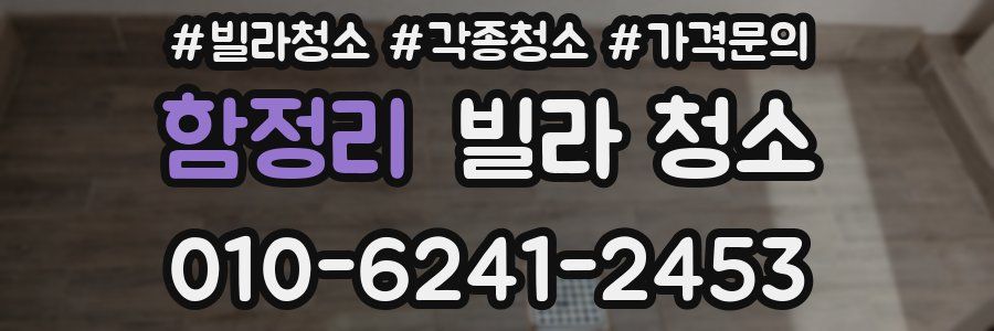 함정리 빌라 청소