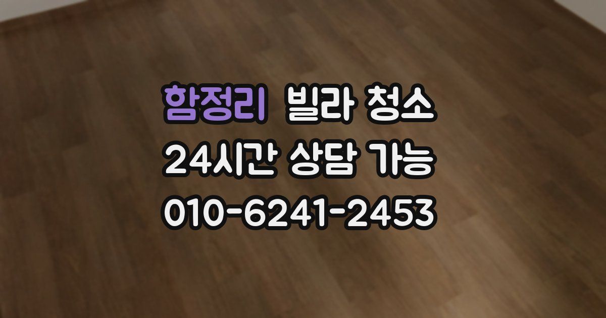 함정리 빌라 청소