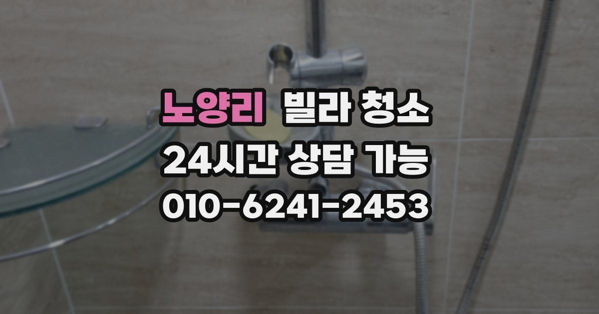 노양리 빌라 청소