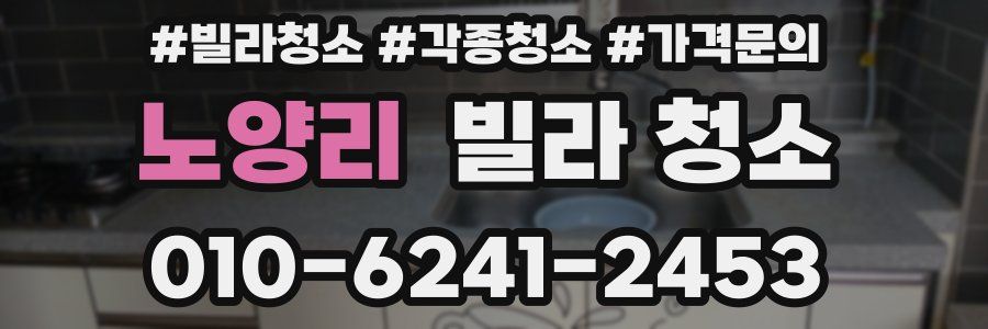 노양리 빌라 청소