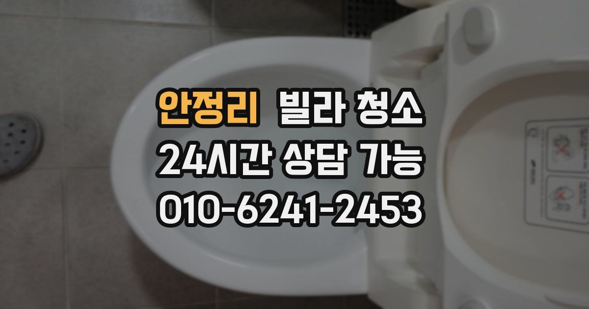 안정리 빌라 청소