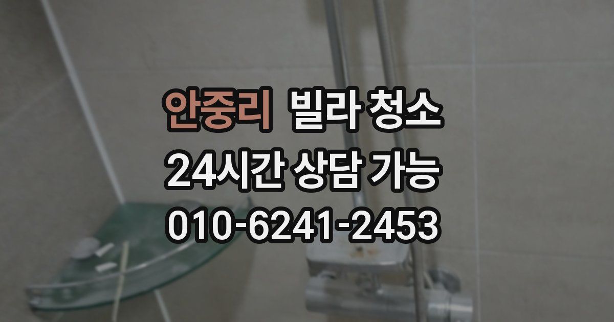 안중리 빌라 청소