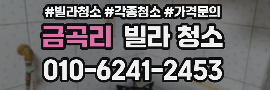 금곡리 빌라 청소