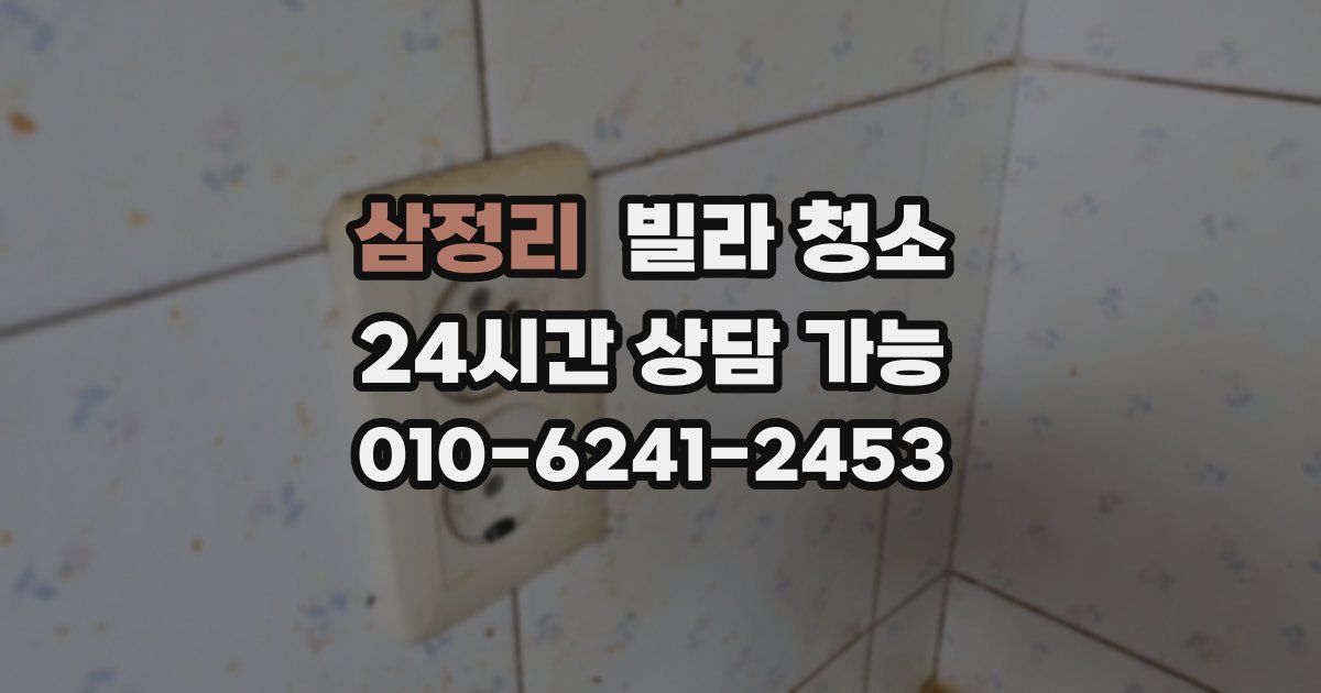 삼정리 빌라 청소