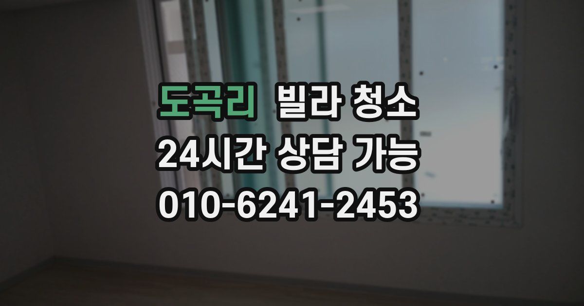 도곡리 빌라 청소