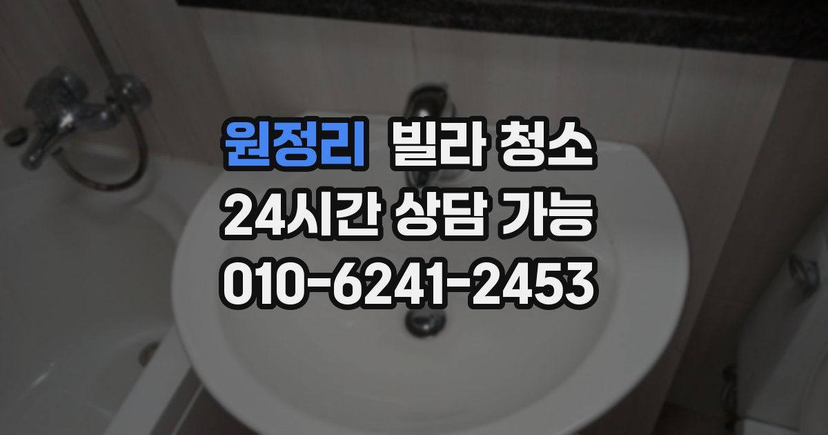 원정리 빌라 청소