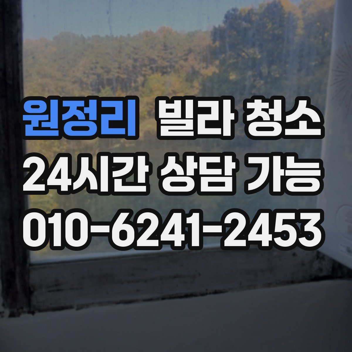 원정리 빌라 청소