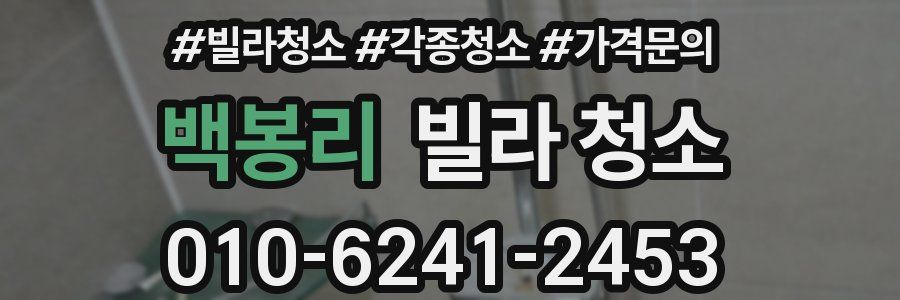 백봉리 빌라 청소