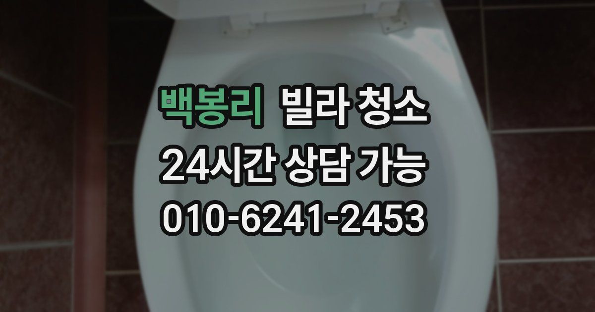 백봉리 빌라 청소