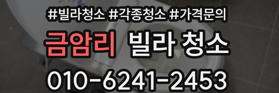 금암리 빌라 청소