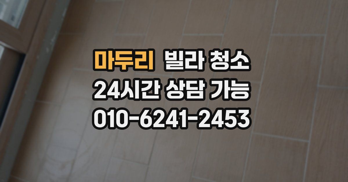 마두리 빌라 청소