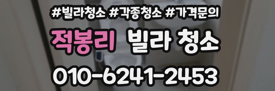 적봉리 빌라 청소