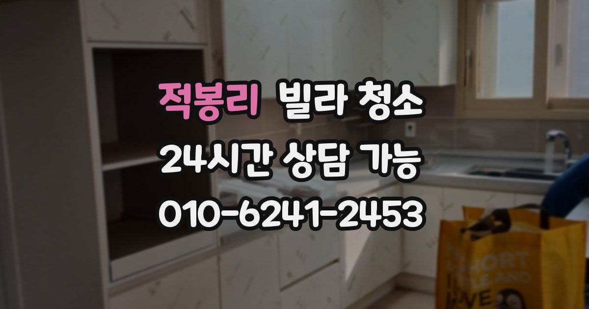 적봉리 빌라 청소