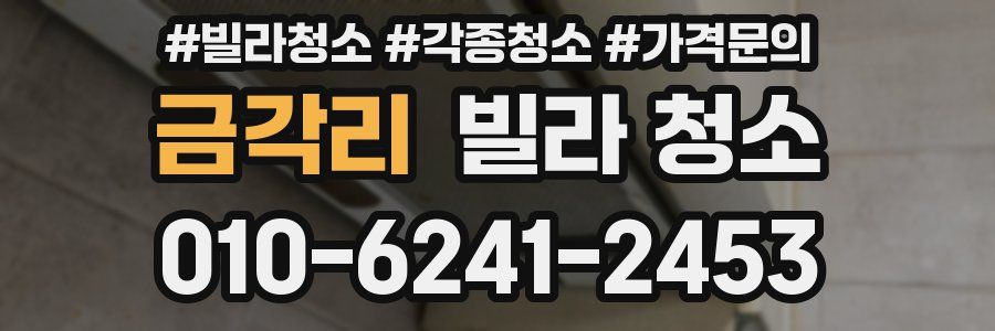 금각리 빌라 청소