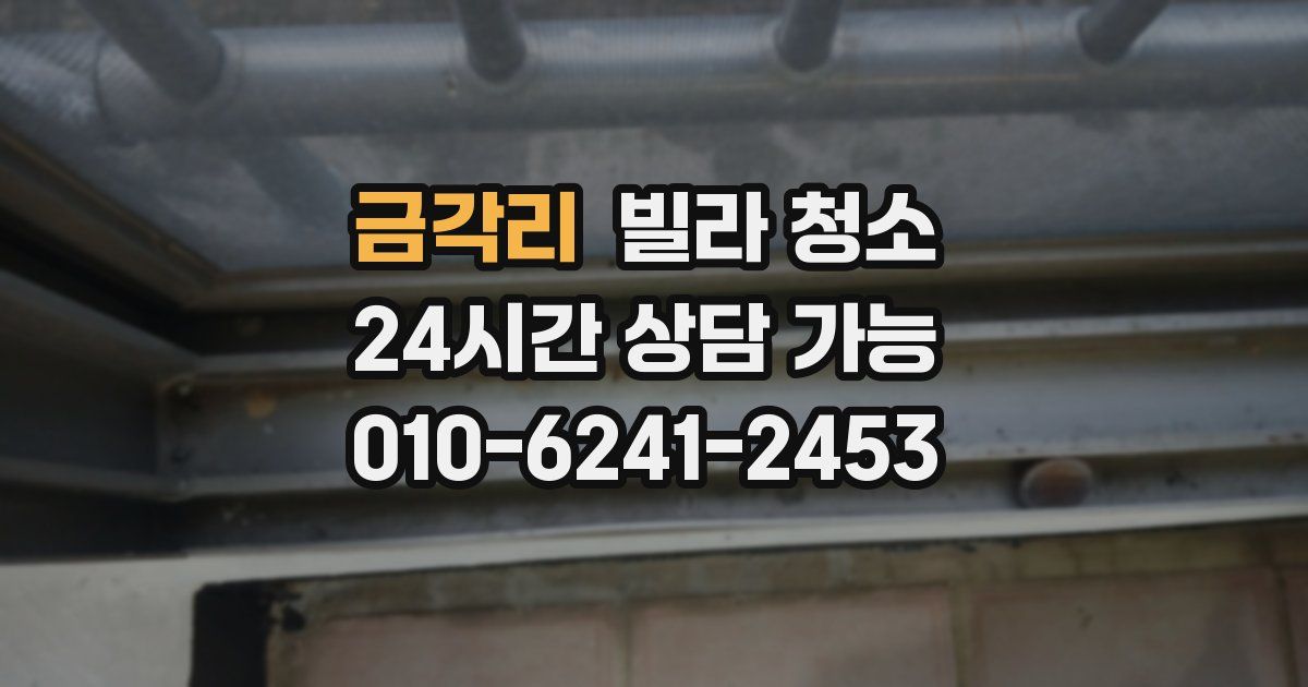 금각리 빌라 청소