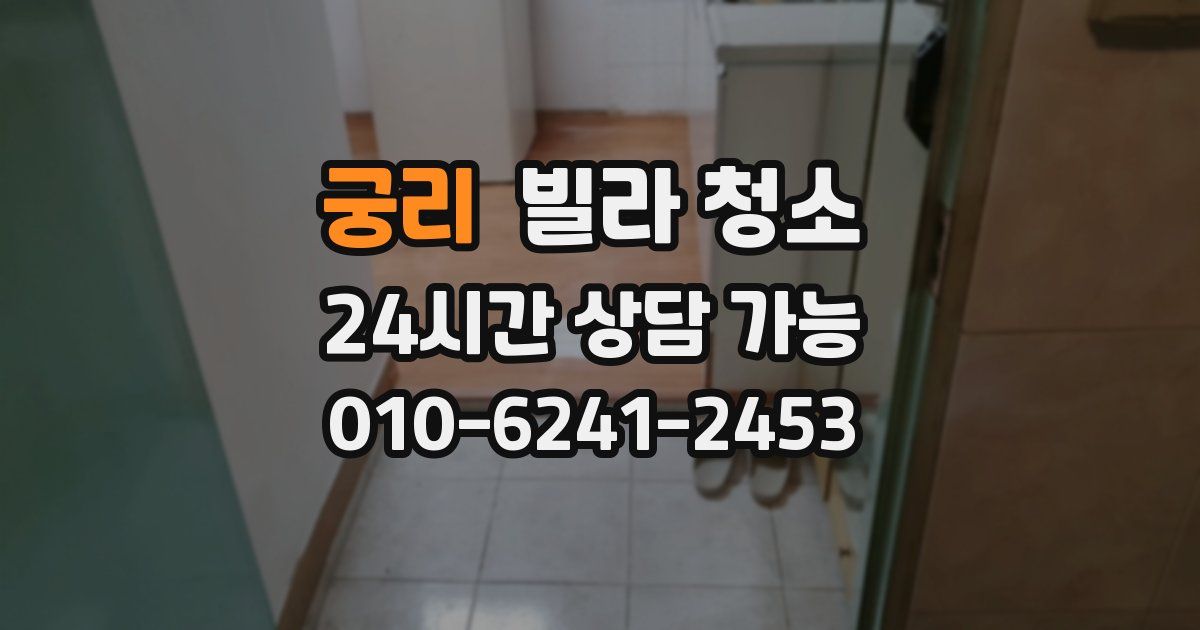 궁리 빌라 청소