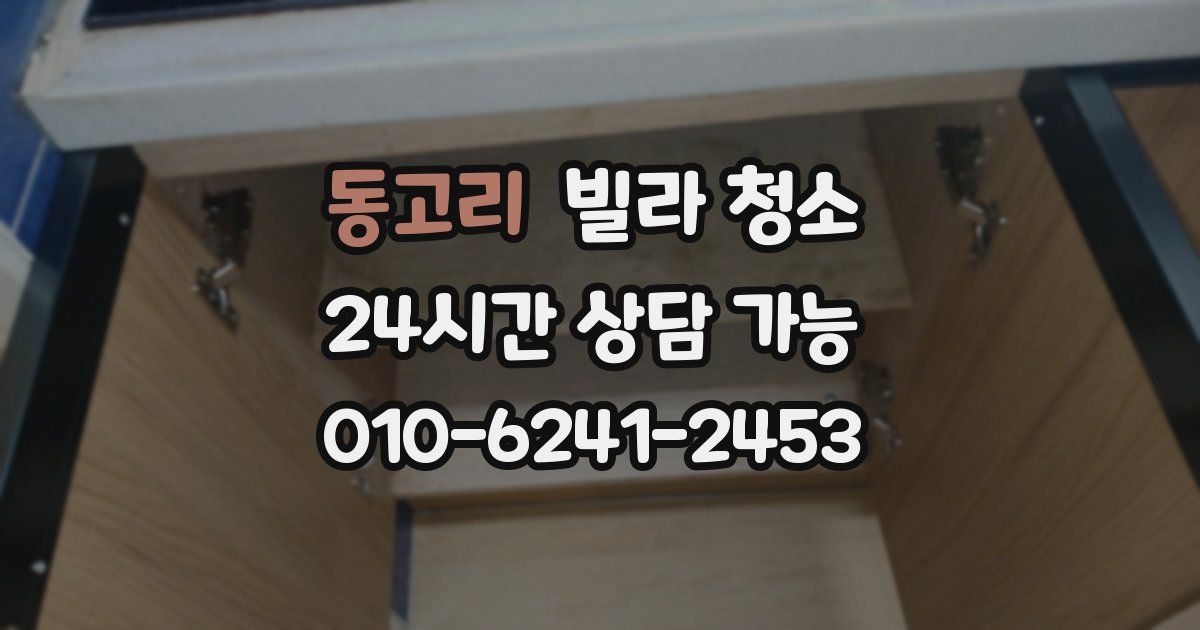 동고리 빌라 청소