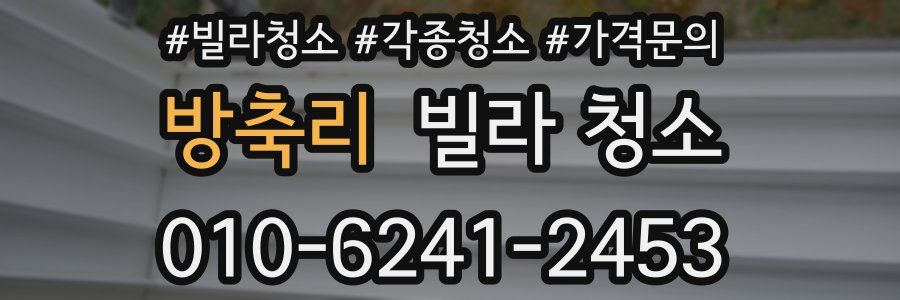 방축리 빌라 청소