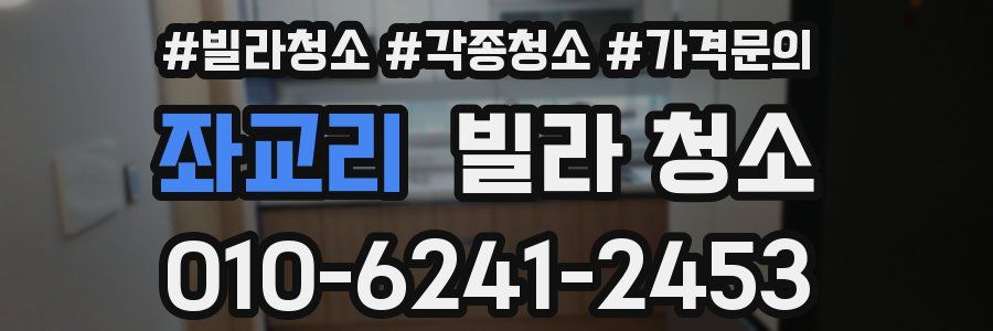 좌교리 빌라 청소