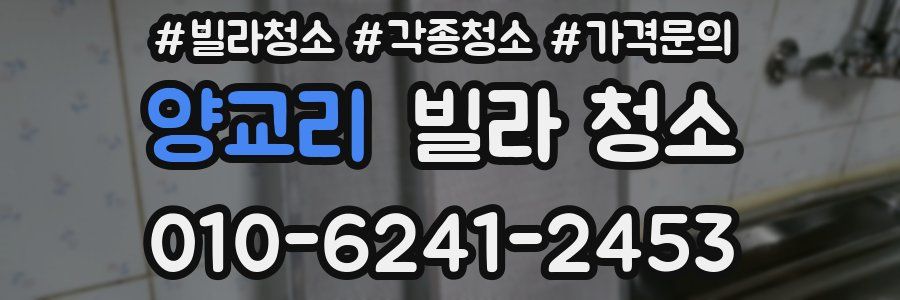 양교리 빌라 청소