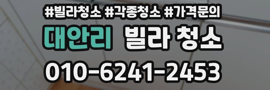 대안리 빌라 청소