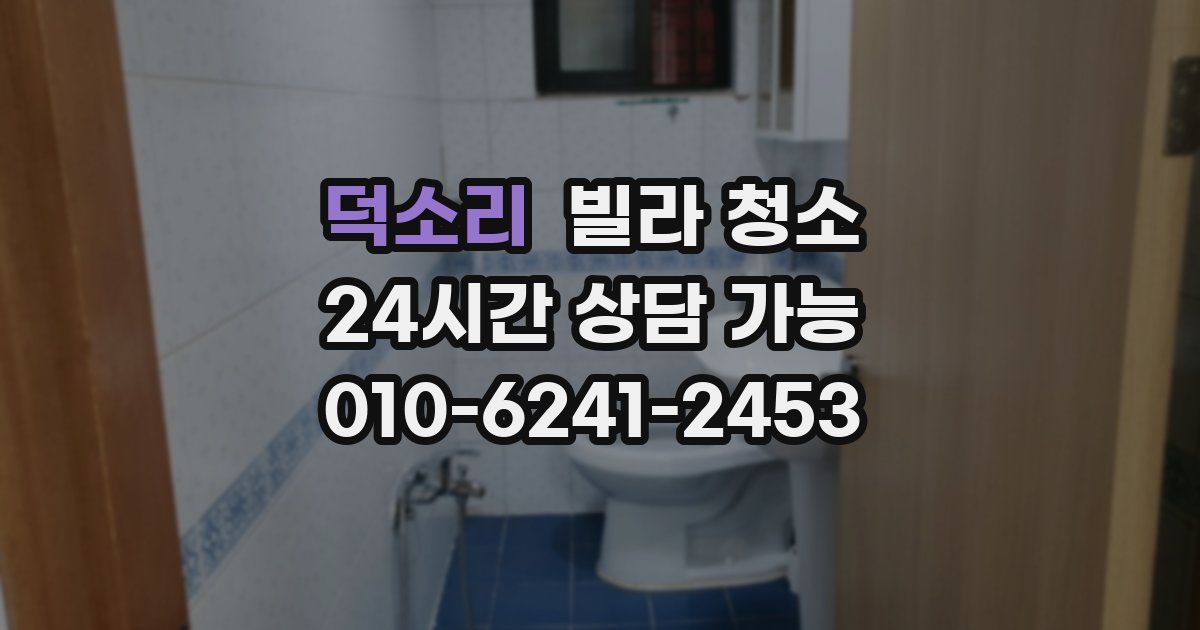 덕소리 빌라 청소