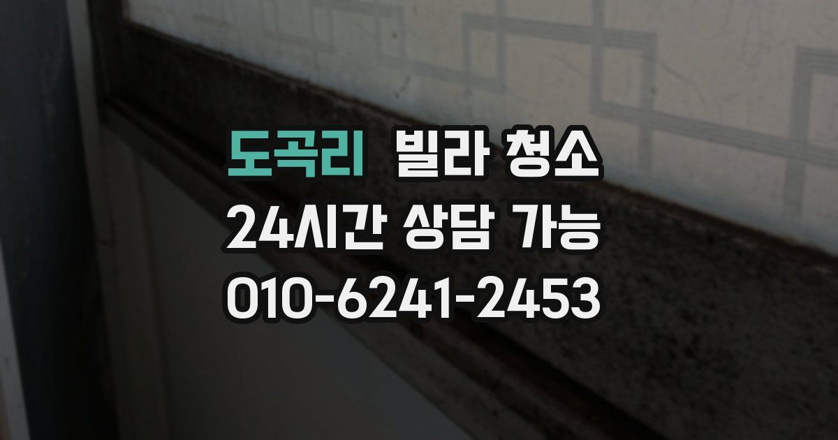 도곡리 빌라 청소