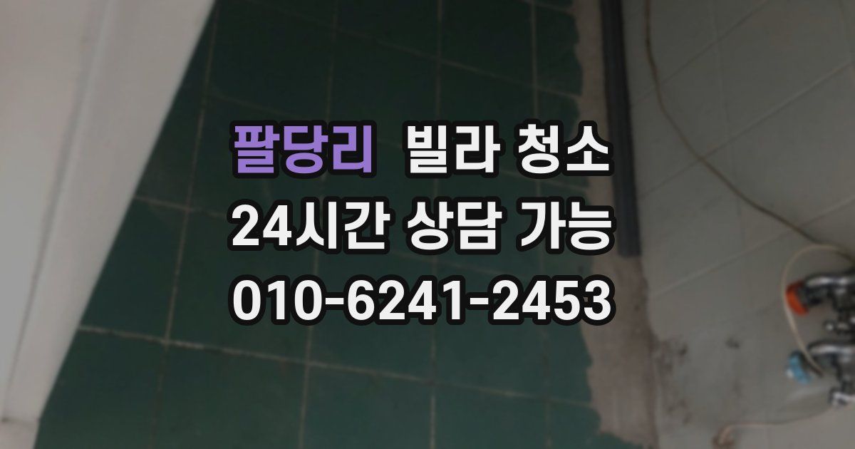 팔당리 빌라 청소