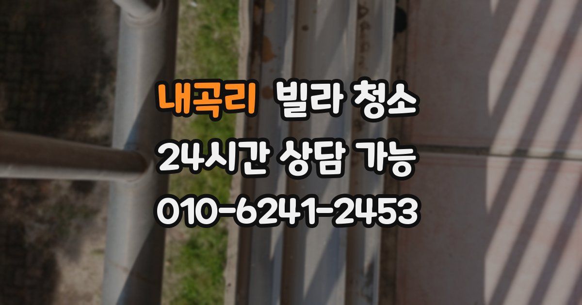 내곡리 빌라 청소