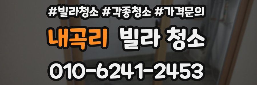내곡리 빌라 청소