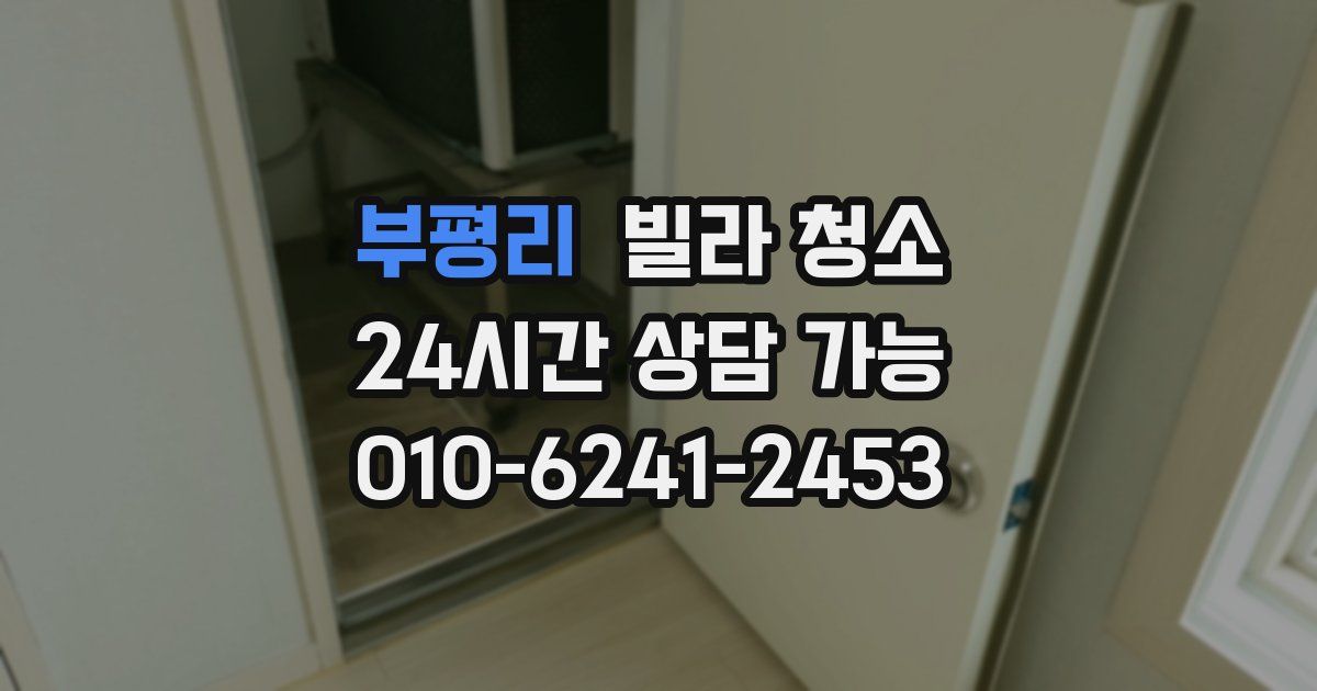 부평리 빌라 청소