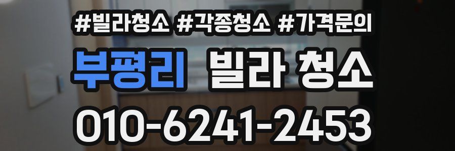 부평리 빌라 청소