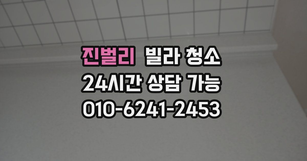 진벌리 빌라 청소