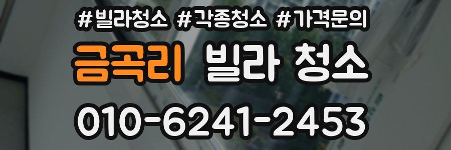 금곡리 빌라 청소