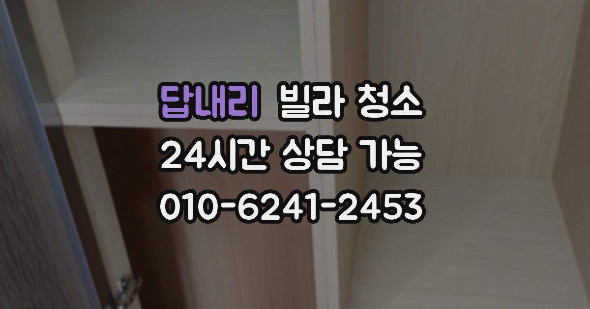 답내리 빌라 청소