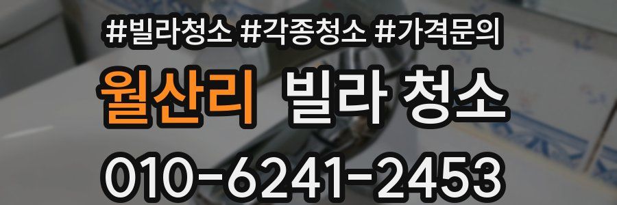 월산리 빌라 청소