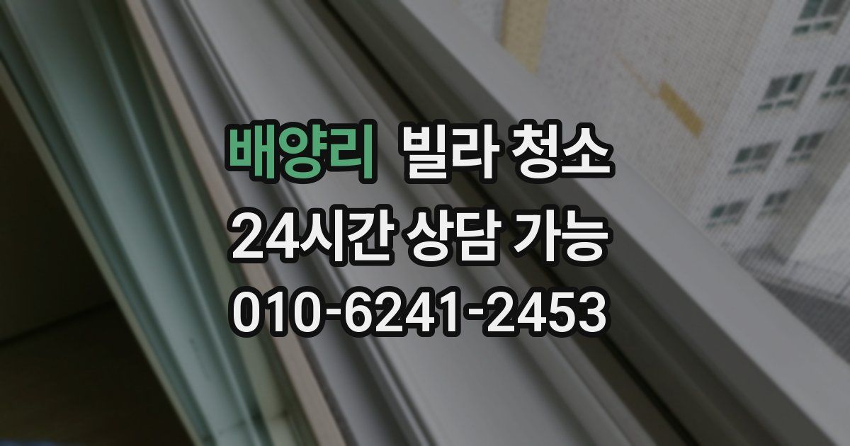 배양리 빌라 청소