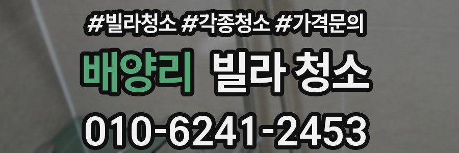 배양리 빌라 청소