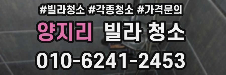 양지리 빌라 청소