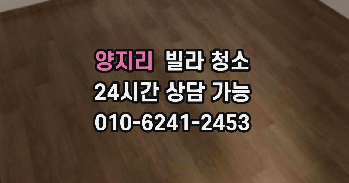 양지리 빌라 청소