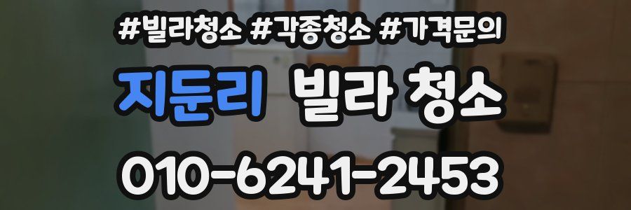 지둔리 빌라 청소