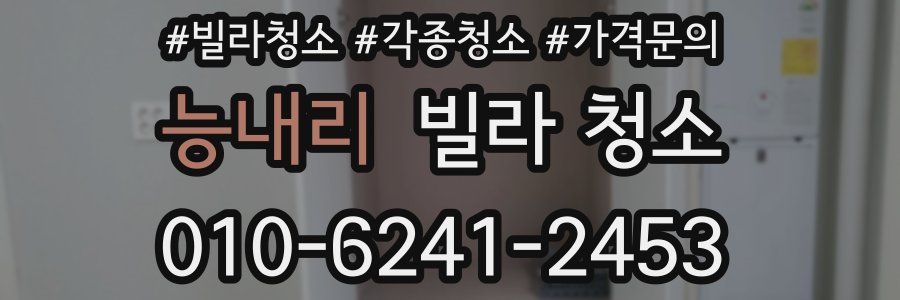 능내리 빌라 청소