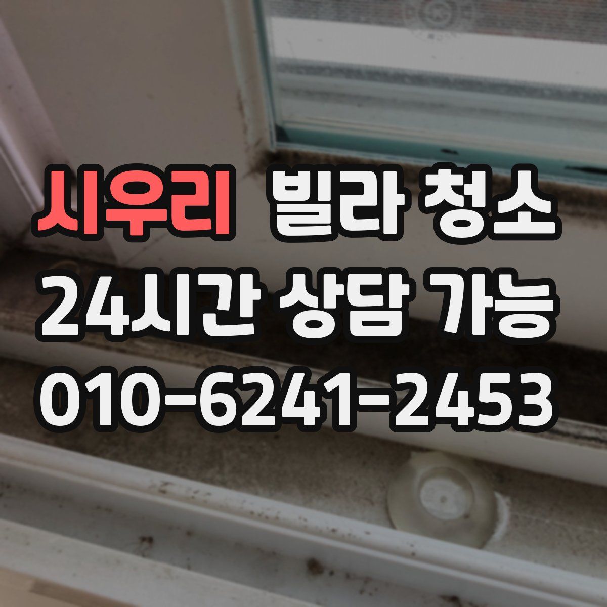 시우리 빌라 청소