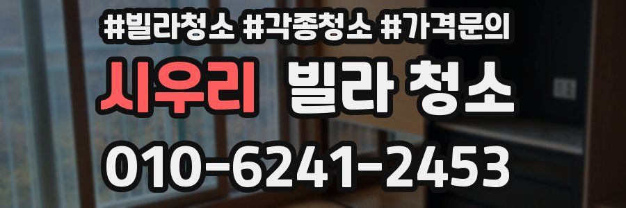 시우리 빌라 청소