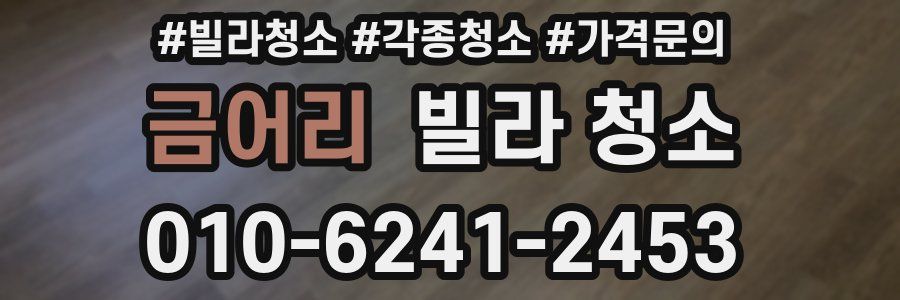 금어리 빌라 청소