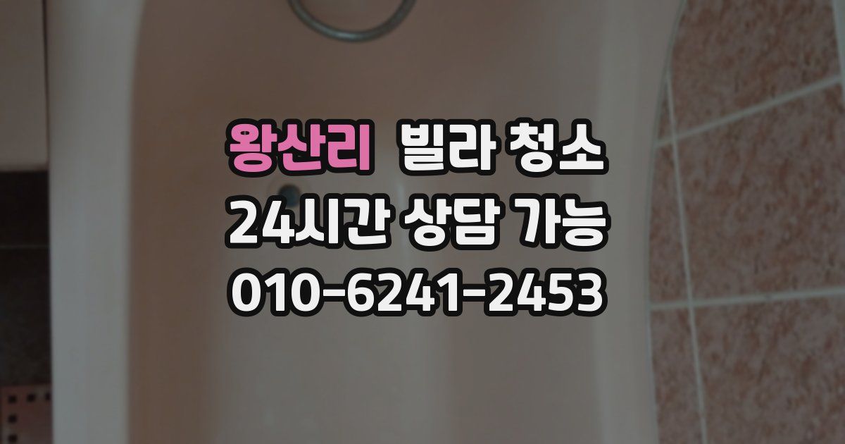 왕산리 빌라 청소