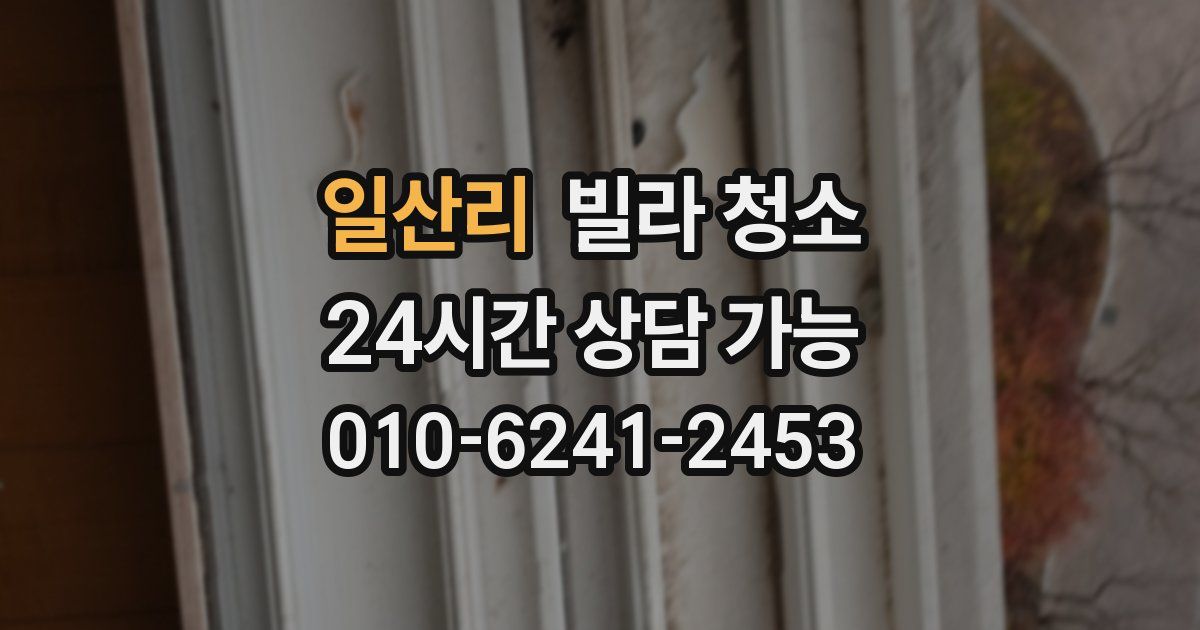 일산리 빌라 청소