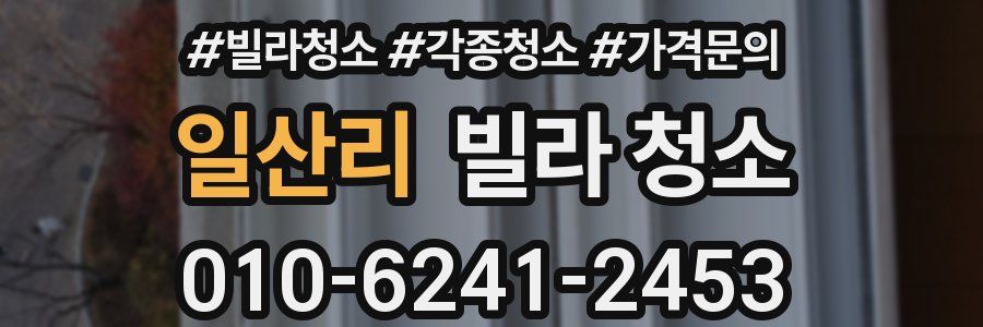 일산리 빌라 청소