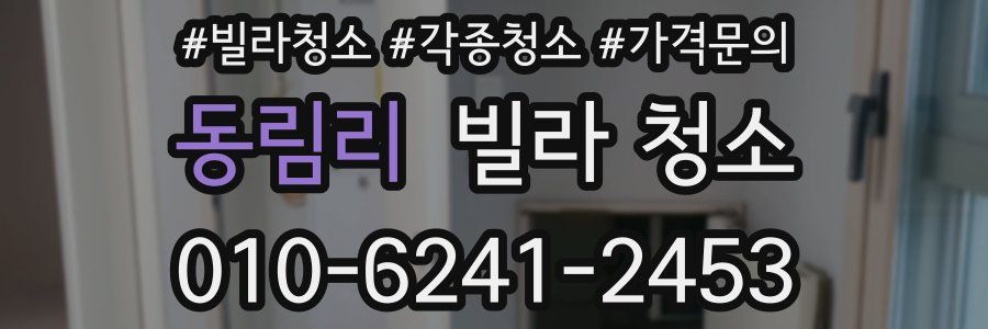 동림리 빌라 청소